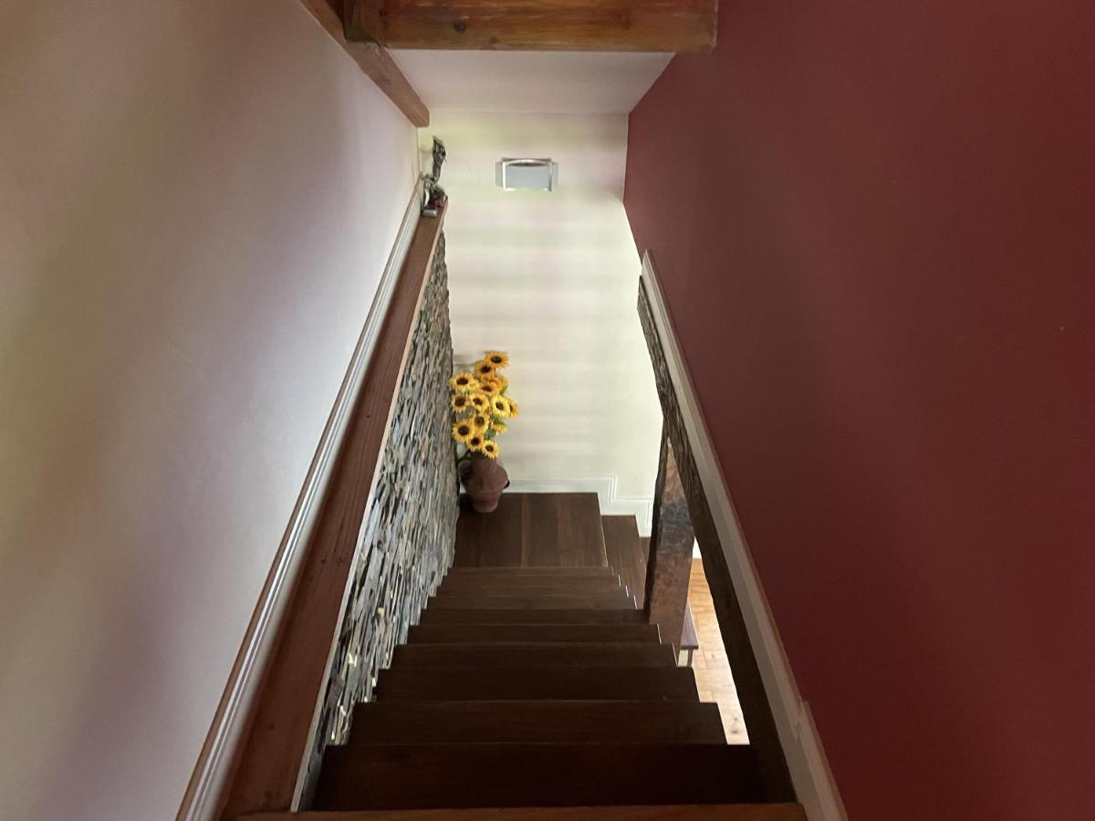 O Celeiros Villa Freixo  Dış mekan fotoğraf